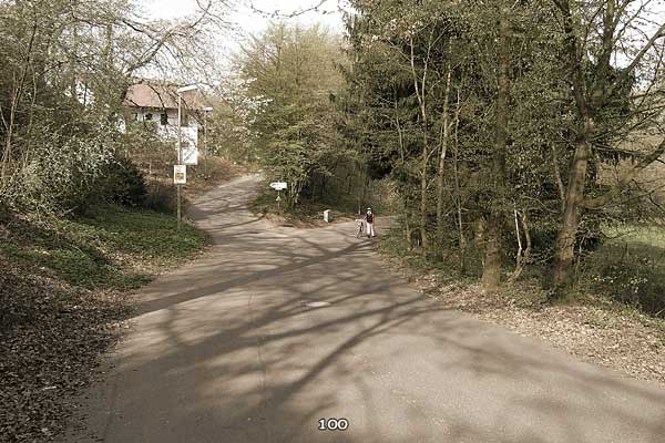 Bliestallabyrinth 100