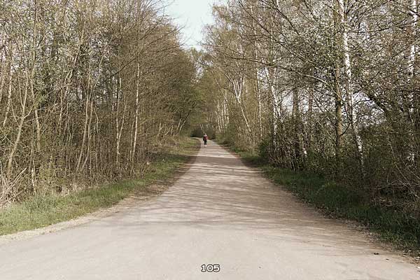 Bliestallabyrinth 105