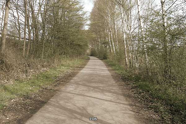 Bliestallabyrinth 106