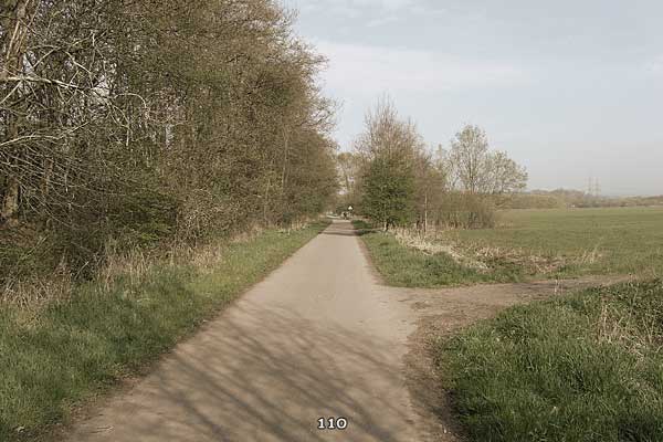 Bliestallabyrinth 110