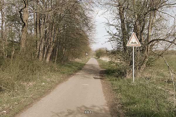 Bliestallabyrinth 111