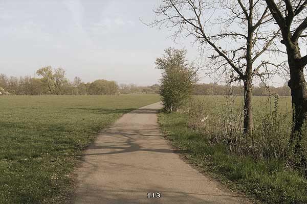 Bliestallabyrinth 113