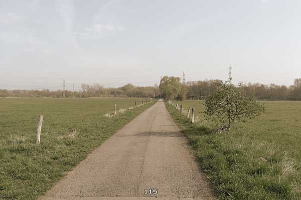 Bliestallabyrinth 115