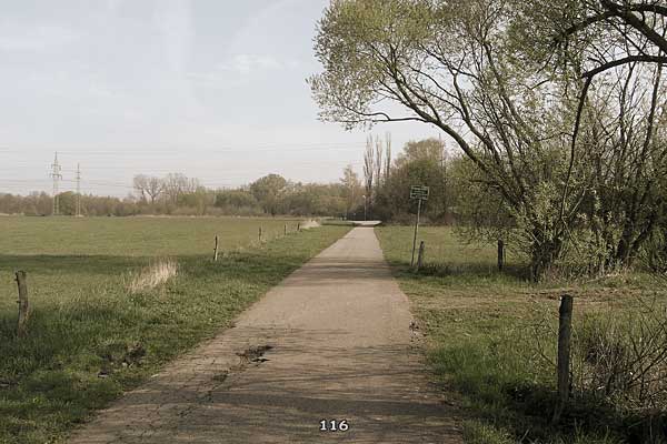 Bliestallabyrinth 116