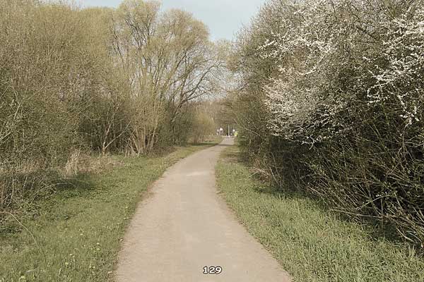 Bliestallabyrinth 129