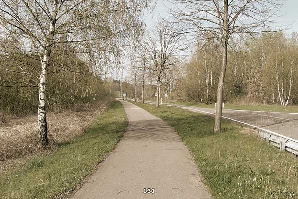 Bliestallabyrinth 131