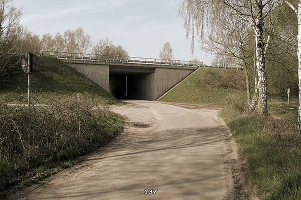 Bliestallabyrinth 137