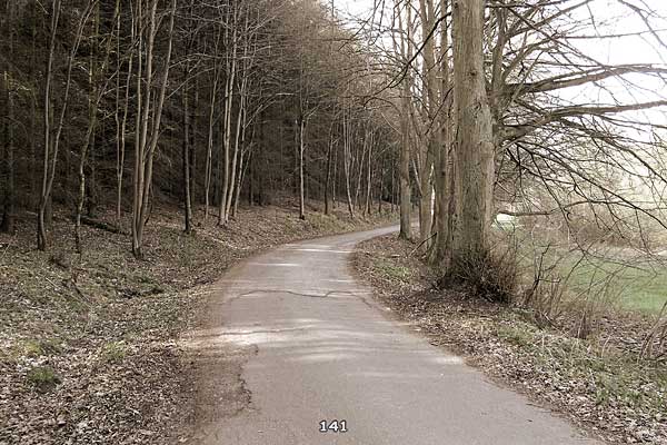 Bliestallabyrinth 141