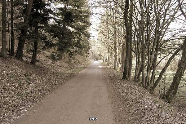 Bliestallabyrinth 142