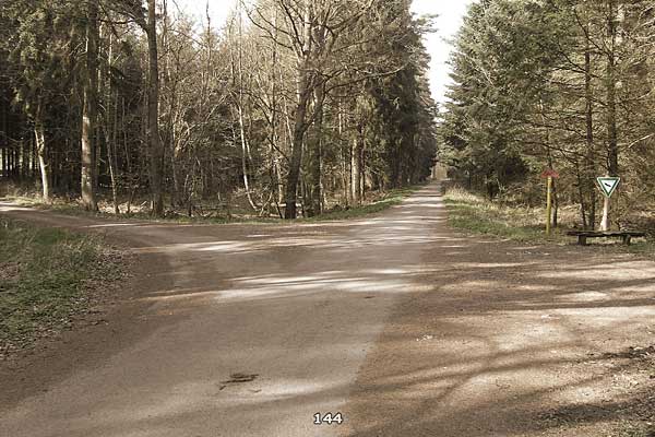 Bliestallabyrinth 144