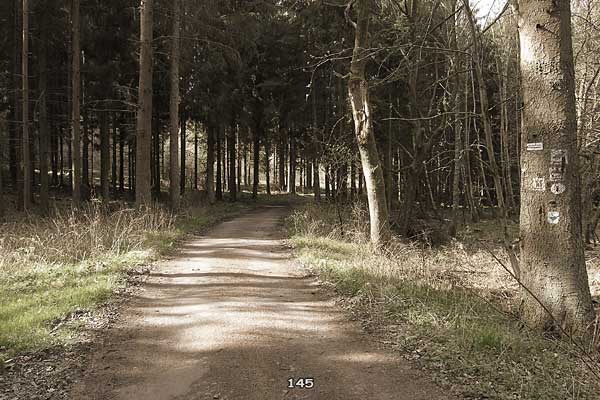 Bliestallabyrinth 145