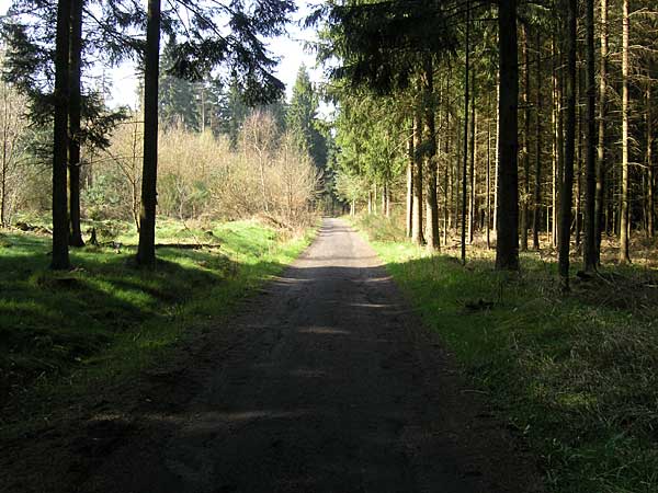 Bliestallabyrinth 146