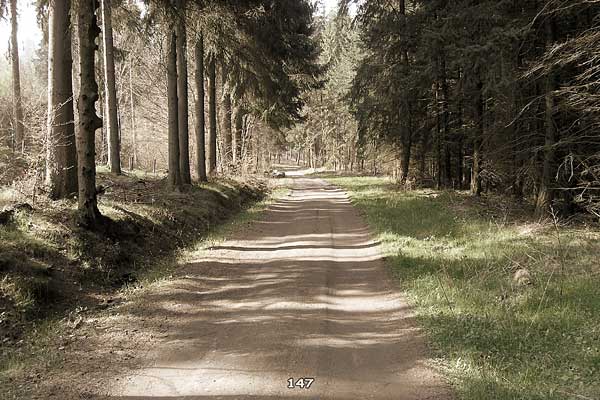 Bliestallabyrinth 147