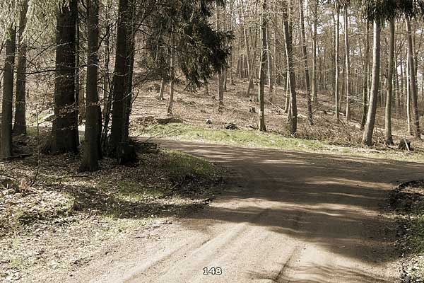 Bliestallabyrinth 148