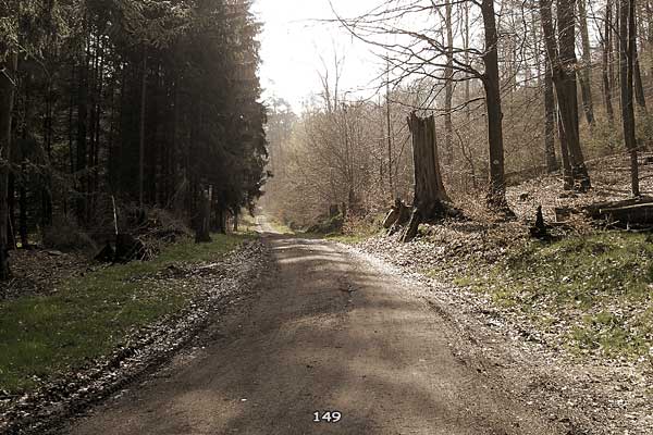 Bliestallabyrinth 149