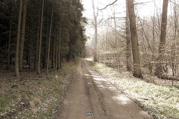 Bliestallabyrinth 151