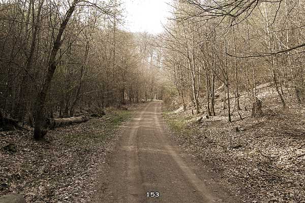 Bliestallabyrinth 153