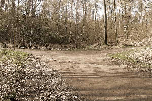 Bliestallabyrinth 154