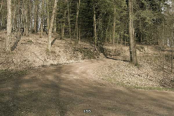 Bliestallabyrinth 155