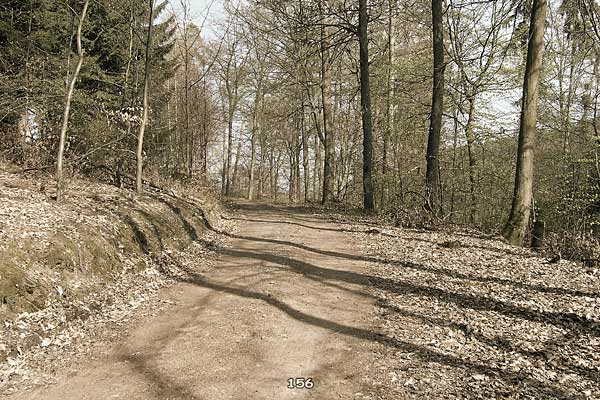 Bliestallabyrinth 156