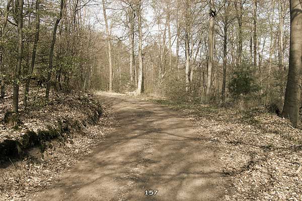 Bliestallabyrinth 157