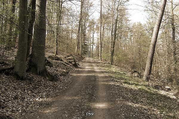 Bliestallabyrinth 159