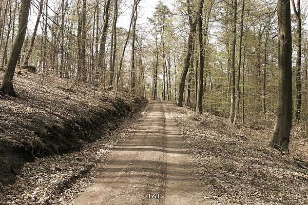 Bliestallabyrinth 161