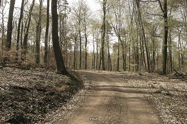 Bliestallabyrinth 162