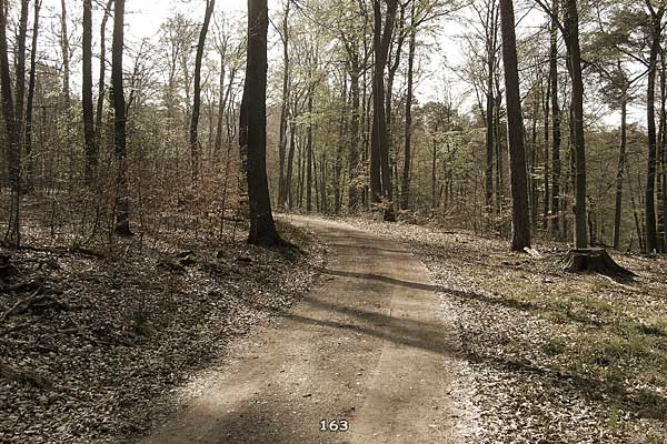 Bliestallabyrinth 163