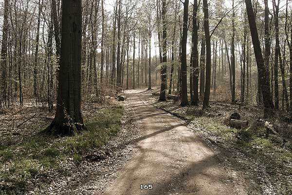 Bliestallabyrinth 165