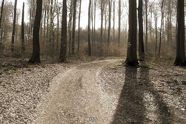 Bliestallabyrinth 166