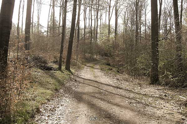 Bliestallabyrinth 167