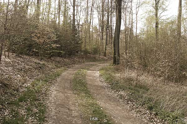 Bliestallabyrinth 168