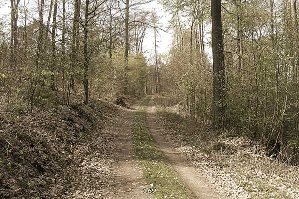 Bliestallabyrinth 169