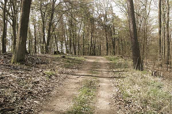 Bliestallabyrinth 170