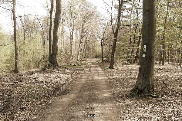 Bliestallabyrinth 172