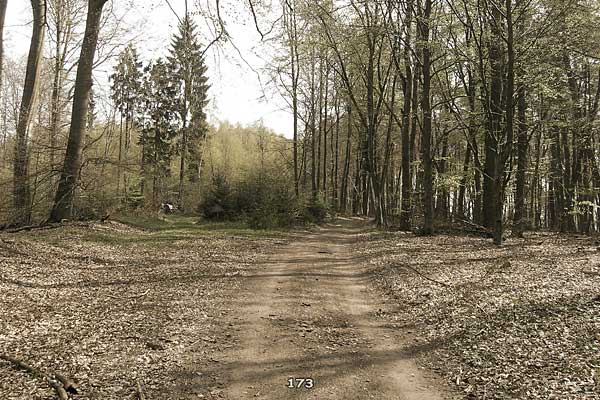 Bliestallabyrinth 173