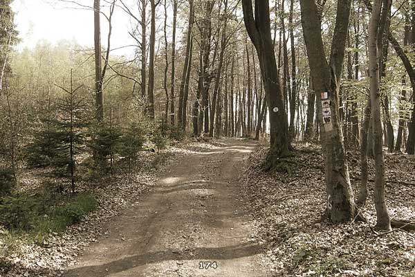 Bliestallabyrinth 174