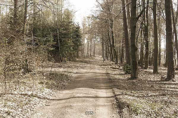 Bliestallabyrinth 175