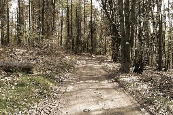 Bliestallabyrinth 177