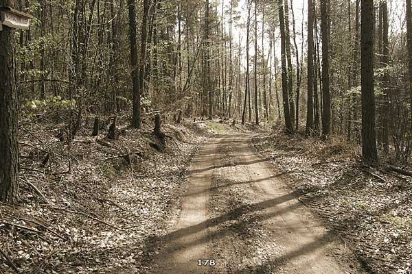 Bliestallabyrinth 178