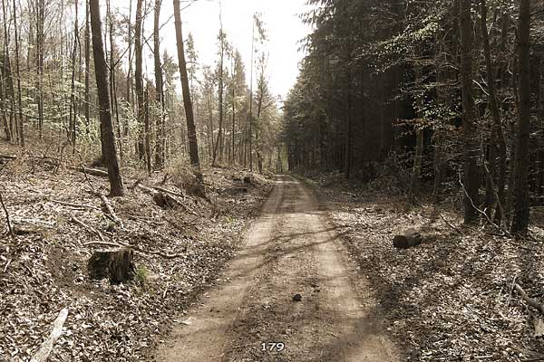 Bliestallabyrinth 179