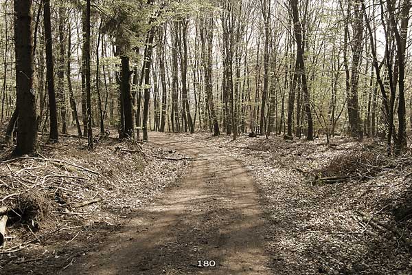 Bliestallabyrinth 180