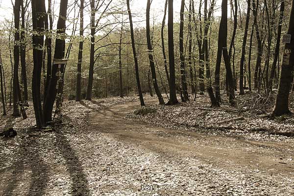 Bliestallabyrinth 181