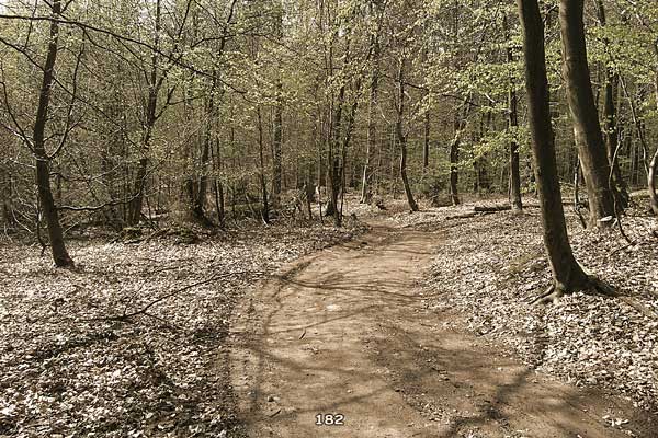 Bliestallabyrinth 182