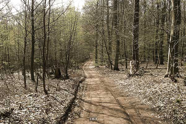 Bliestallabyrinth 183