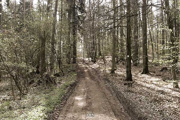 Bliestallabyrinth 185