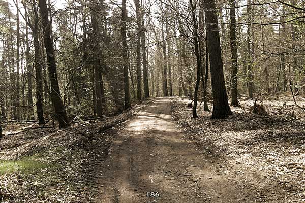 Bliestallabyrinth 186