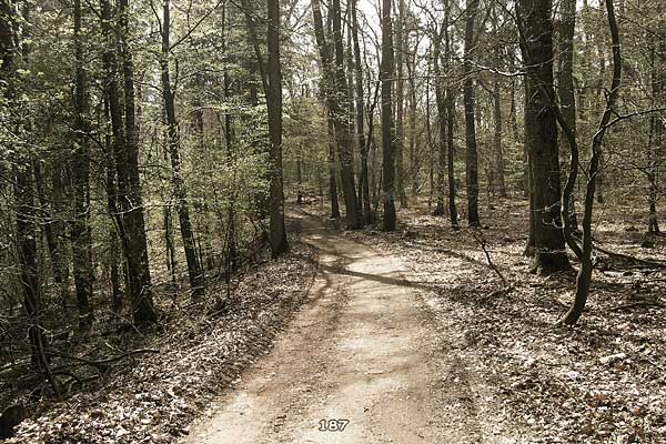 Bliestallabyrinth 187