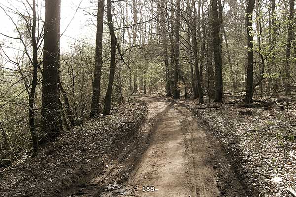 Bliestallabyrinth 188